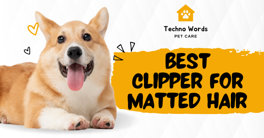 Top 5 Best Clippers for Dogs with Matted Hair [2024]